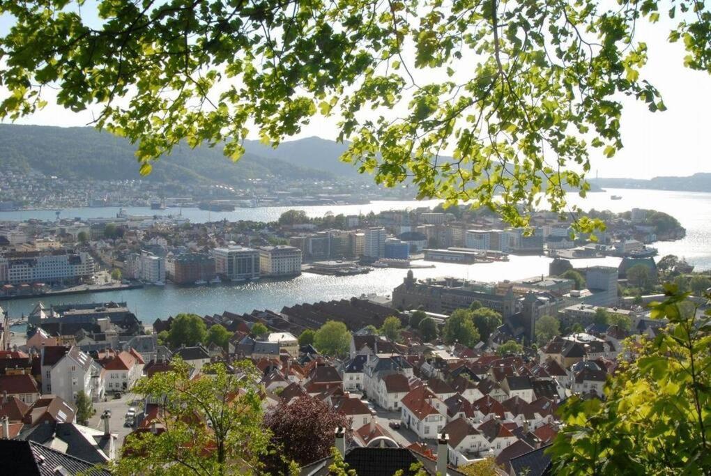 New! Modern City Apt: Central W/ Private Entrence Lejlighed Bergen Eksteriør billede